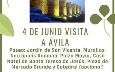 Visita a Ávila 4 de Junio