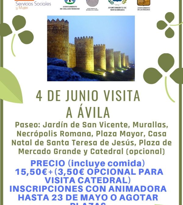 Visita a Ávila 4 de Junio