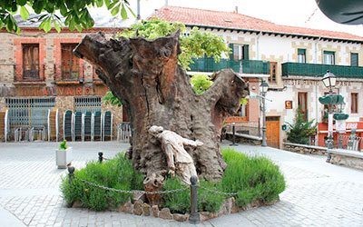 Encuentro de mayores 2019 en Miraflores de la Sierra, organiza Navacerrada